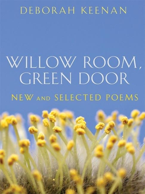 Book cover image for Willow Room, Green Door ISBN: 9781571314260